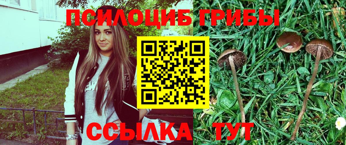 Галлюциногенные грибы MAGIC MUSHROOMS Курчалой