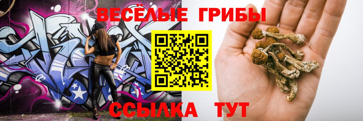 Псилоцибиновые грибы Magic Shrooms  Вход с VPN  Курчалой 