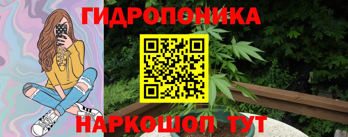 Бошки Шишки VHQ Курчалой